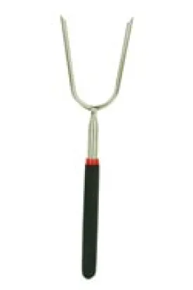 33" Extendable Roasting Fork