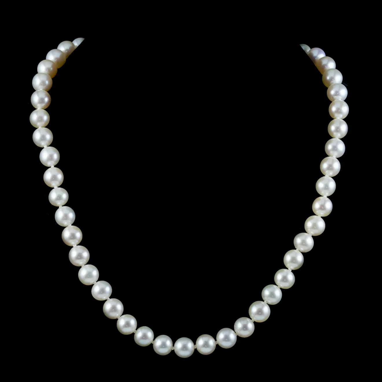 Antique Edwardian Pearl Necklace Sapphire Diamond Clasp Circa 1910