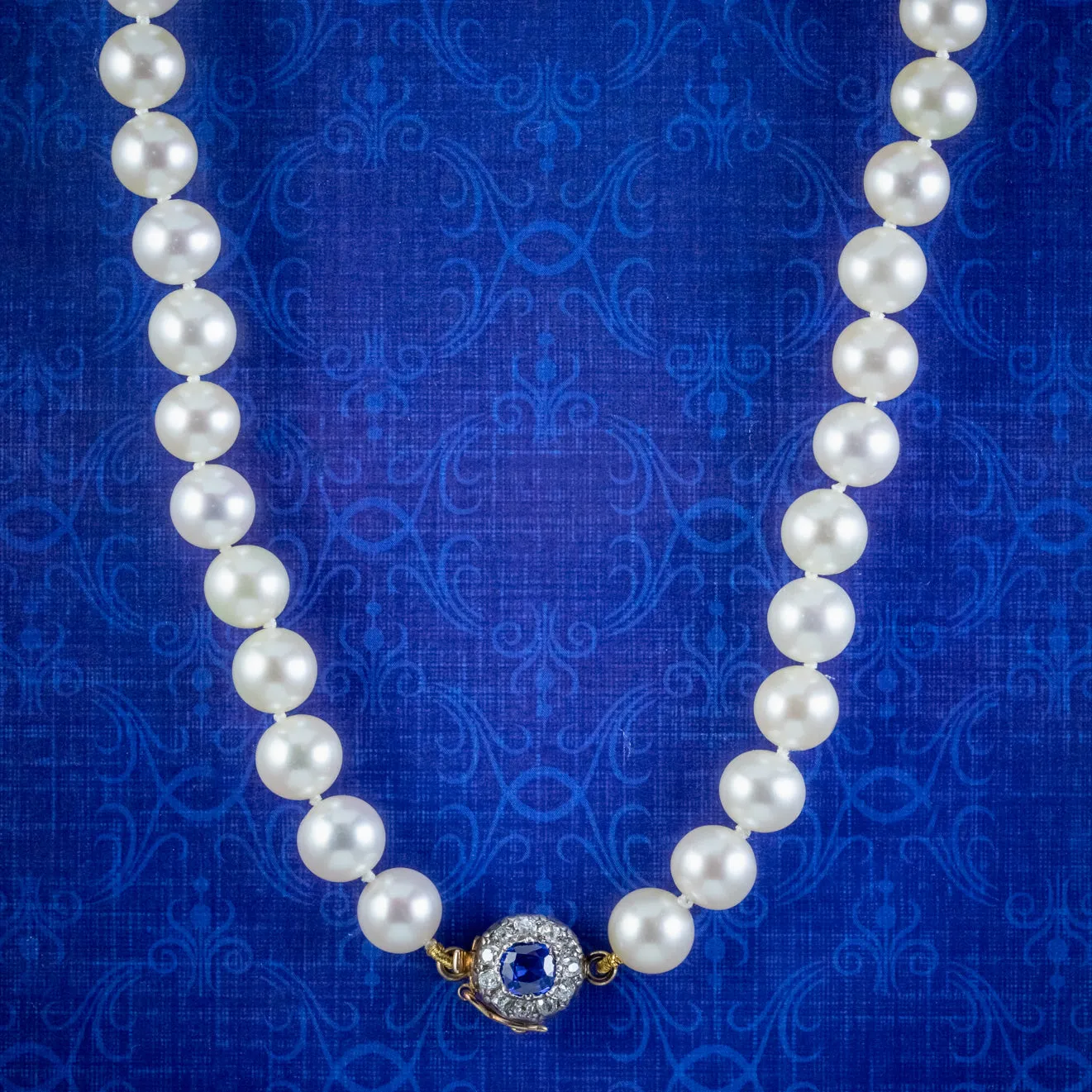 Antique Edwardian Pearl Necklace Sapphire Diamond Clasp Circa 1910