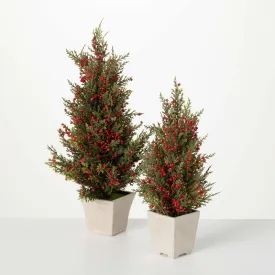 Cedar And Berry Tree Set Of 2